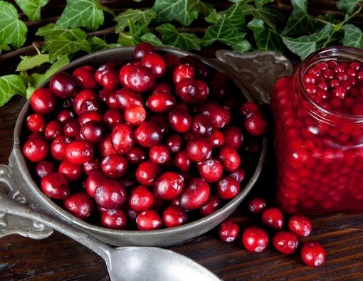 Benarkah Buah Cranberry Bisa Atasi Flu?