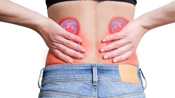 Wajib Tahu, Ini 10 Cara Mencegah Gagal Ginjal