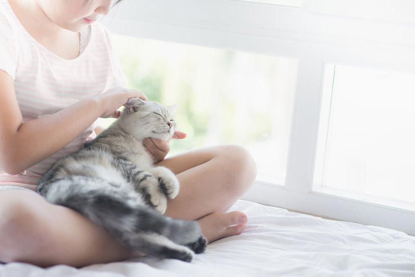 Anak Alergi Bulu, Tapi Ingin Piara Hewan?