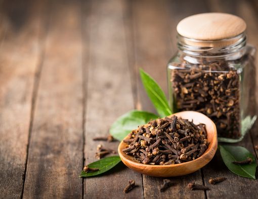 Tanaman Pengusir Nyamuk untuk Bantu Cegah DBD