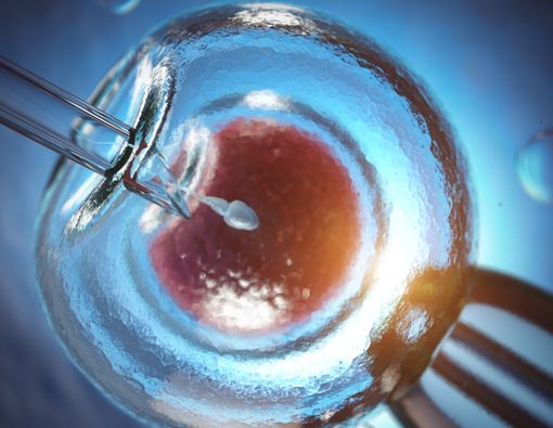 Risiko yang Dapat Terjadi Saat Menjalani Program Bayi Tabung