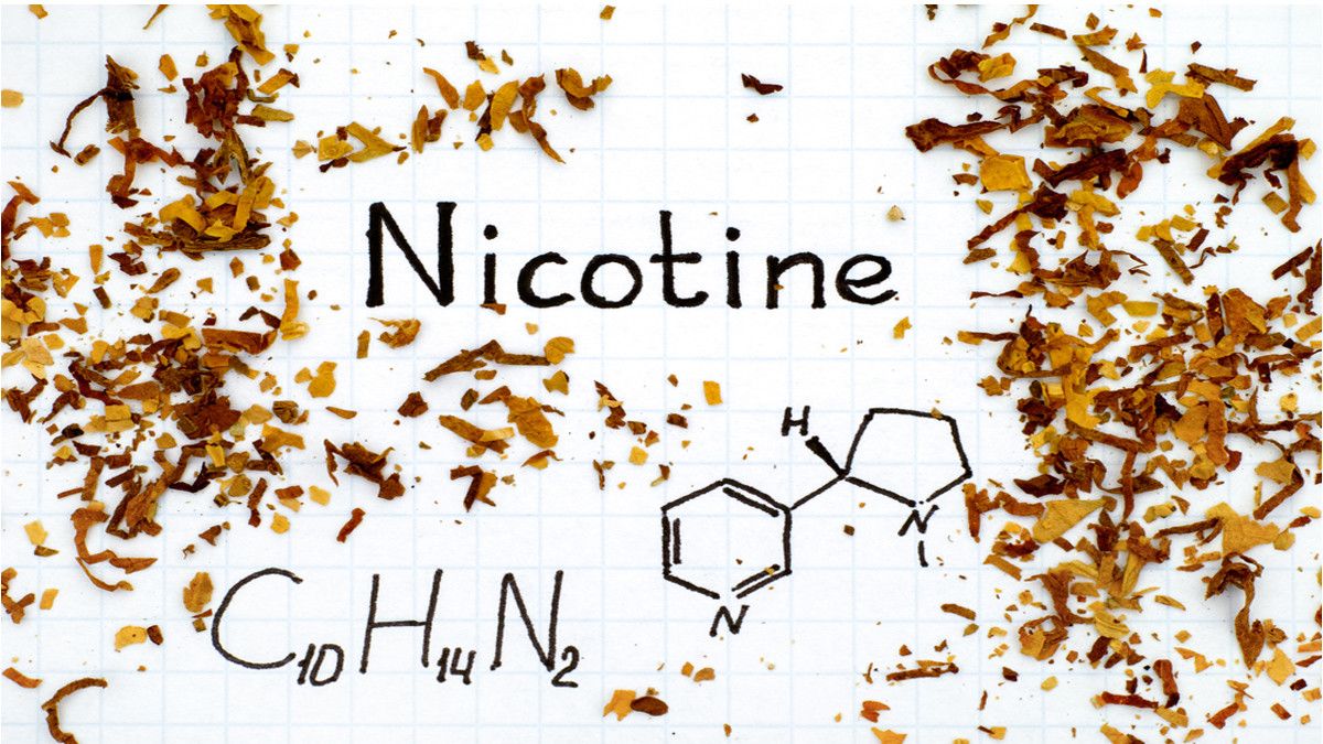 Cara Mudah Singkirkan Sisa Nikotin dalam Tubuh