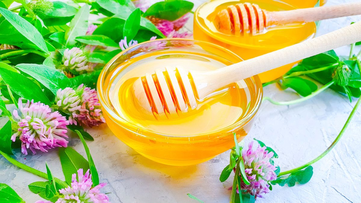 Manfaat Clover Honey, Jenis Madu yang Lagi Viral