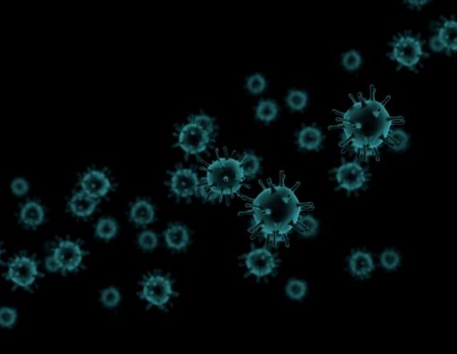 Ditemukan di Pasien COVID-19 India, Ini Bahaya Infeksi Jamur Hitam