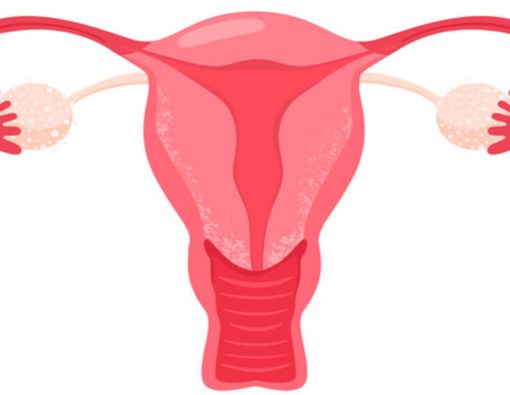 Penebalan Dinding Rahim, Apa Dampaknya pada Kesehatan?