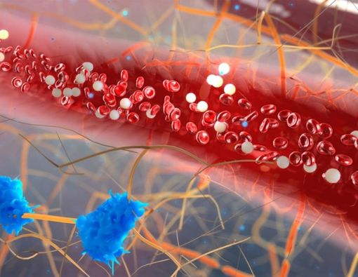 Apakah Terapi Totok Darah Bisa Menyembuhkan Diabetes?