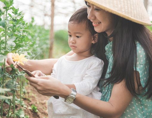 Bunda, Ini Manfaat Mengajak Anak Berkebun