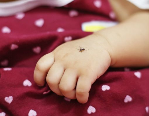 Kenali Gejala Demam Berdarah pada Bayi