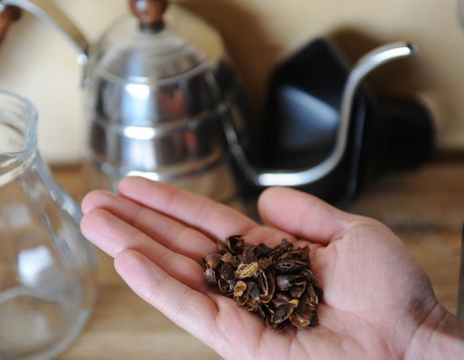 Kopi Cascara, Kopi Rendah Kafein dengan Cita Rasa Unik