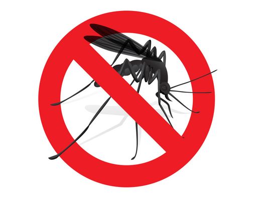 Kiat Mudah dan Ampuh Mengusir Malaria dari Lingkungan Anda