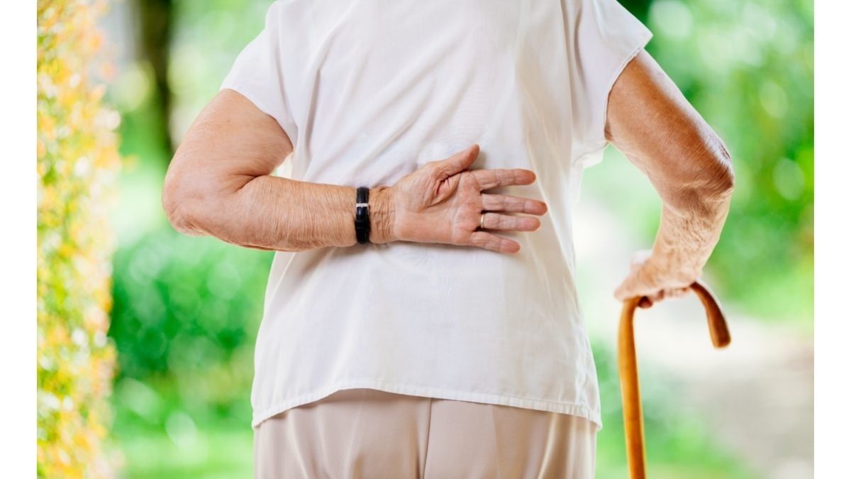 Benarkah Ekstrak Kerang Hijau Dapat Atasi Nyeri Sendi Lansia?