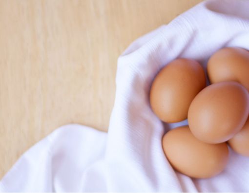 Manfaat Konsumsi Telur untuk Ibu Menyusui