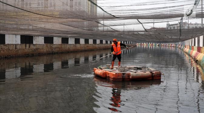 Melihat Kali Item dari Segi Kesehatan