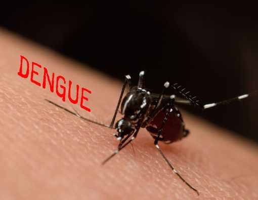 Infeksi Dengue Akibat Perubahan Iklim Global