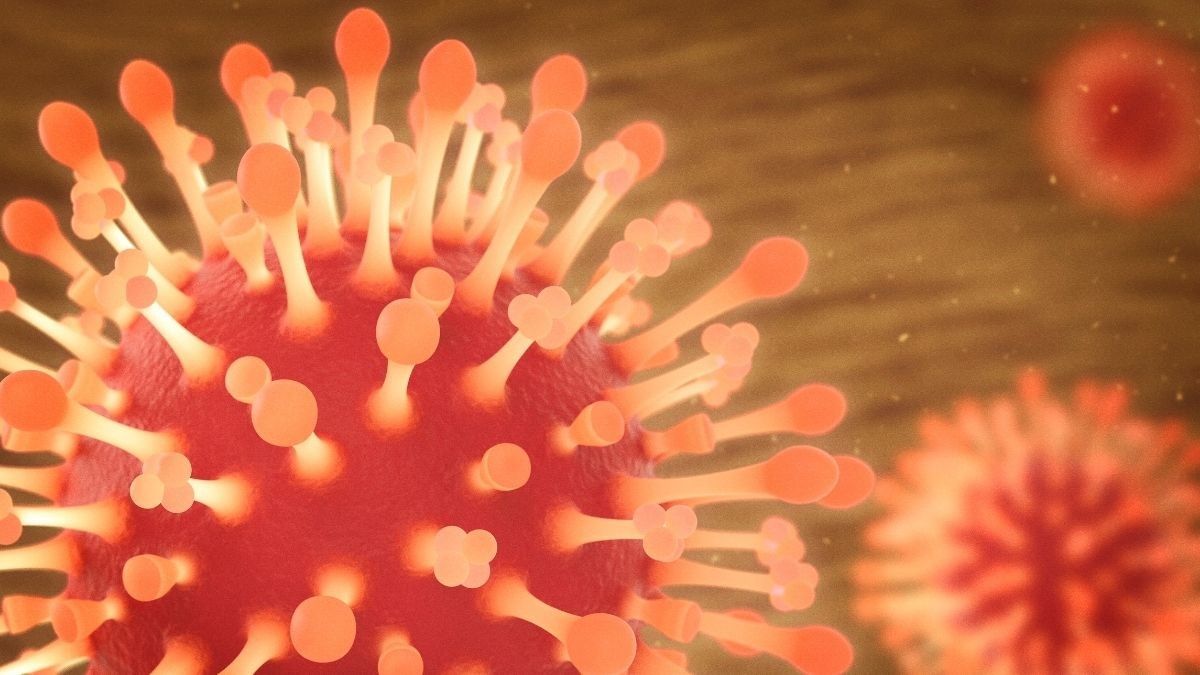 Benarkah Virus Flu Biasa Mampu Lindungi dari COVID-19?