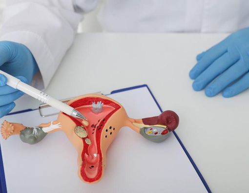 Fungsi dan Struktur Rahim serta Gangguan yang Bisa Terjadi