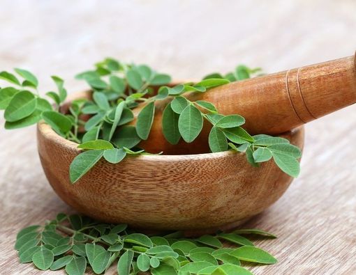 Potensi Daun Kelor untuk Atasi Penyakit Kanker