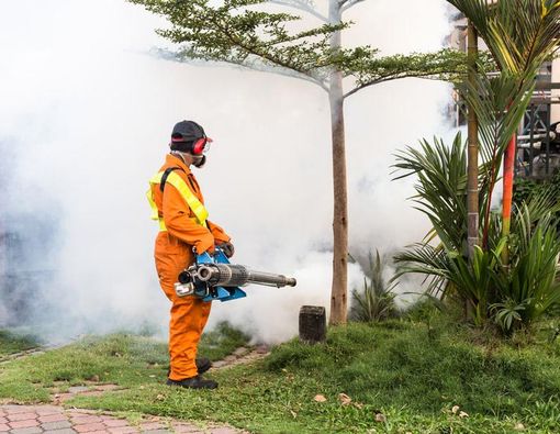 Perjalanan Dengue di Indonesia