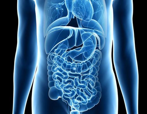 Yang Wajib Diketahui Soal Saluran Cerna Anak