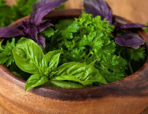 Obat Herbal untuk Mengatasi Hipertensi