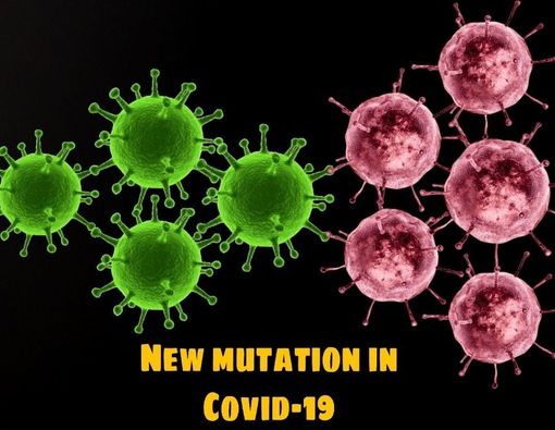 Waspada, Ada Mutasi Ganda Virus Corona dari India!