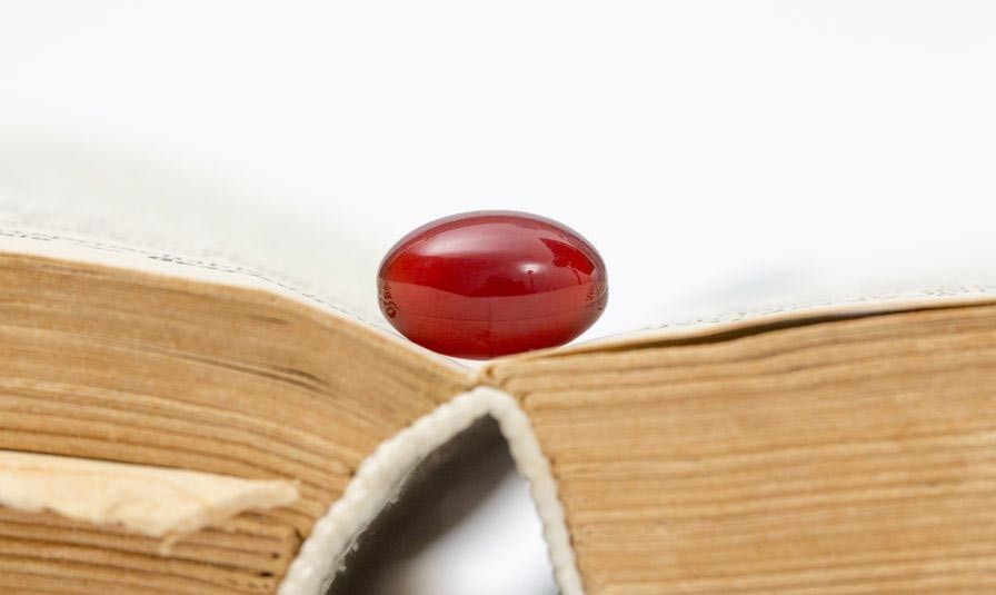 Benarkah Minyak Krill Dapat Turunkan Berat Badan?