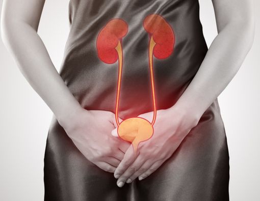 Pengaruh Infeksi Saluran Kemih terhadap Kehamilan