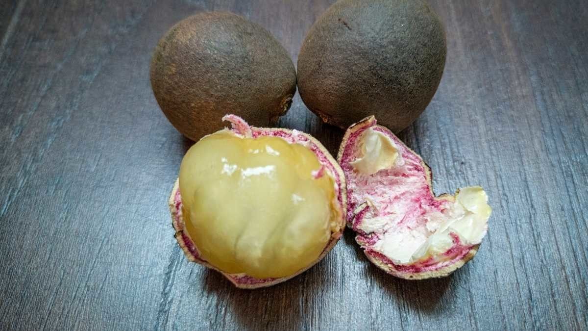 12 Manfaat Buah Matoa untuk Kesehatan