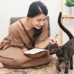 20 Fakta Unik, Menarik, dan Mistis tentang Peliharaan Kucing