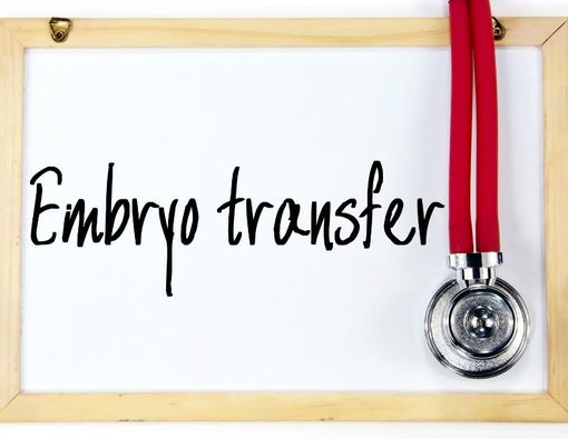 Hal yang Perlu Diketahui Tentang Transfer Embrio