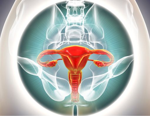 9 Fakta tentang Ovarium yang Perlu Diketahui Wanita