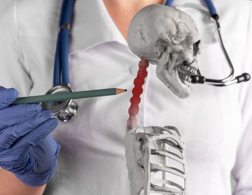 5 Fungsi Tulang Leher dan Bagian-Bagiannya