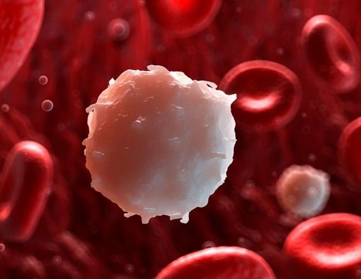 Penyebab Limfosit Rendah dan Cara Mengatasinya