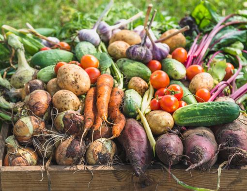Makanan yang Dianjurkan dan Dilarang Saat Wasir