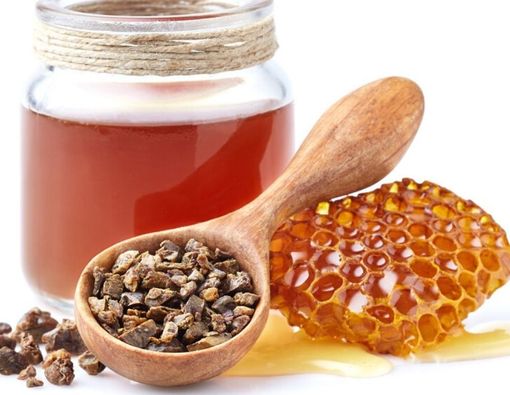 Pengguna Gigi Implan Harus Pakai Pasta Gigi Propolis, Benarkah?