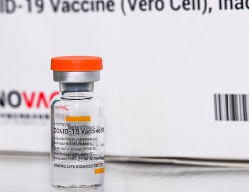 Vaksin COVID-19 Sinovac Bisa Digunakan pada Anak, Ini Faktanya