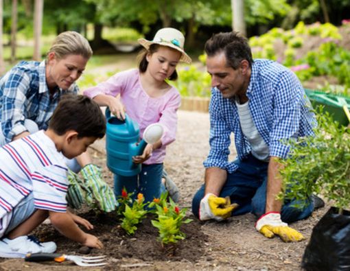 5 Aktivitas di Hari Bumi Internasional yang Baik Untuk Kesehatan