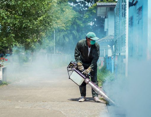 Asap Fogging Nyamuk, Adakah Dampaknya pada Kesehatan?