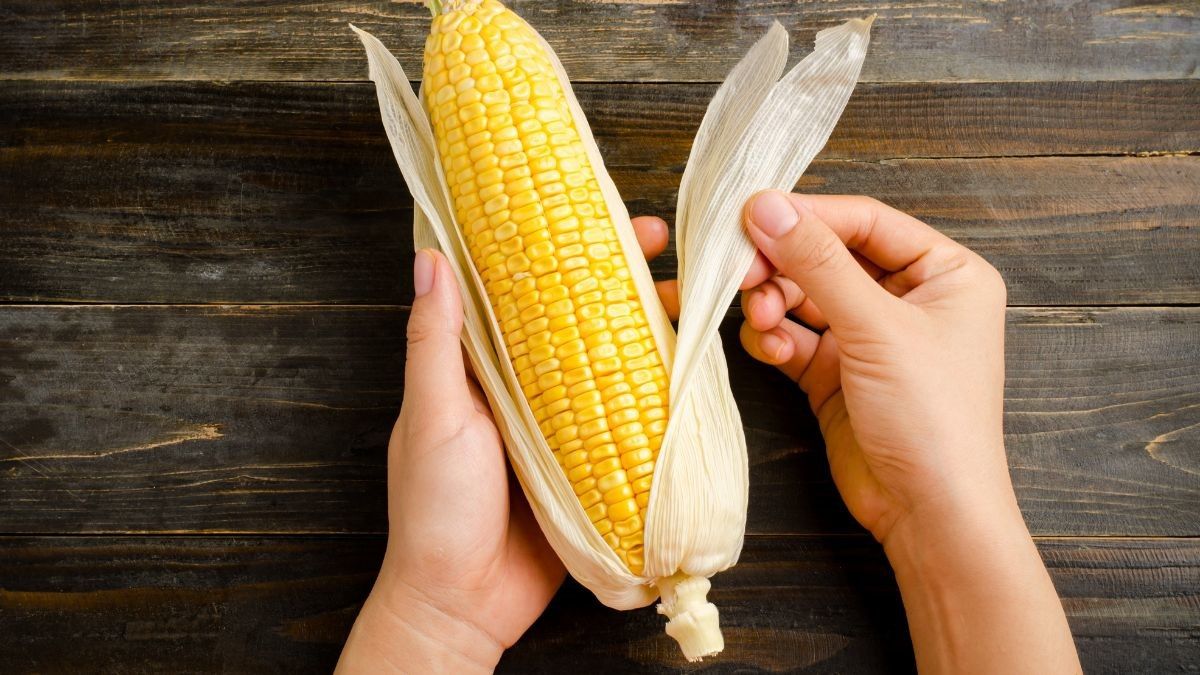 Manfaat Jagung untuk Ibu Hamil