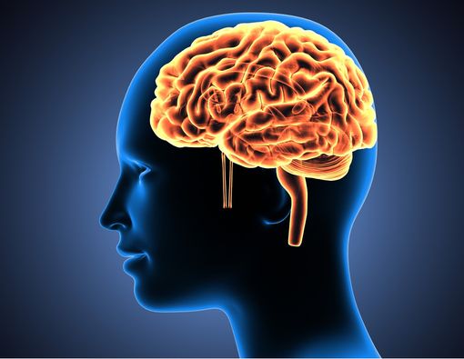 Ini Alasan Medis Mengapa Cinta Pertama Susah Dilupakan