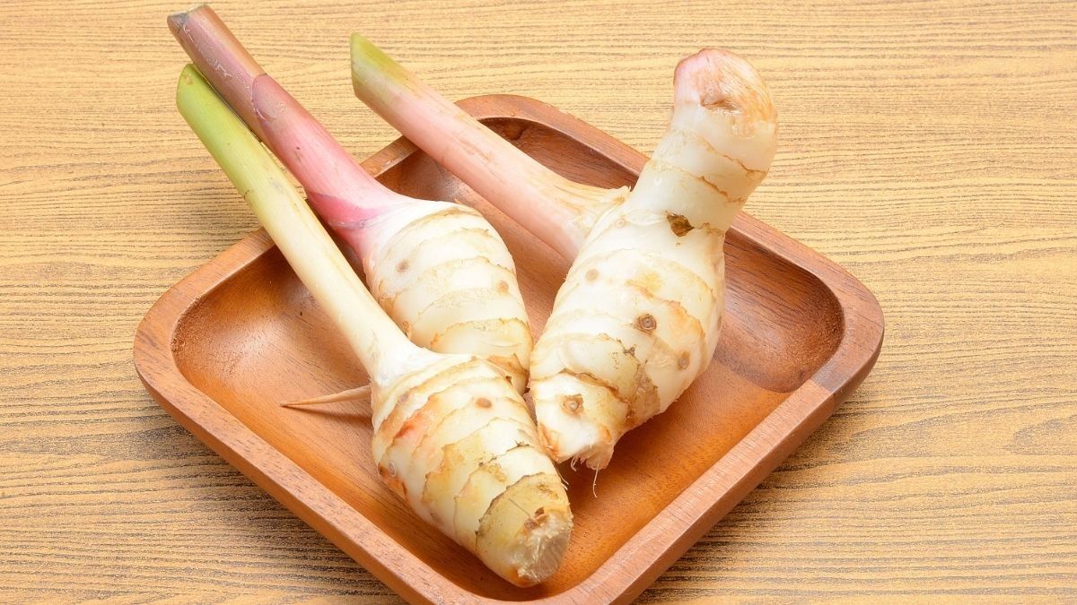 Menyingkap Manfaat Lengkuas untuk Kesehatan Jantung