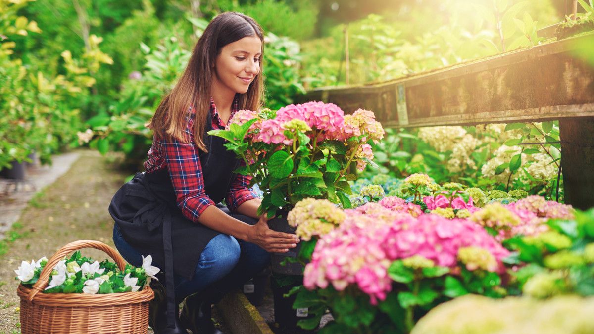 5 Hobi Ini Bikin Anda Tambah Sehat