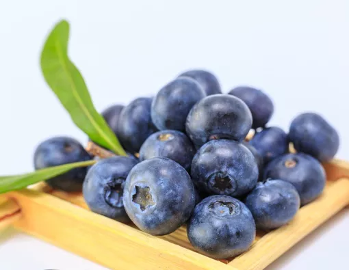 Bahaya Mengonsumsi Buah Blueberry Terlalu Banyak