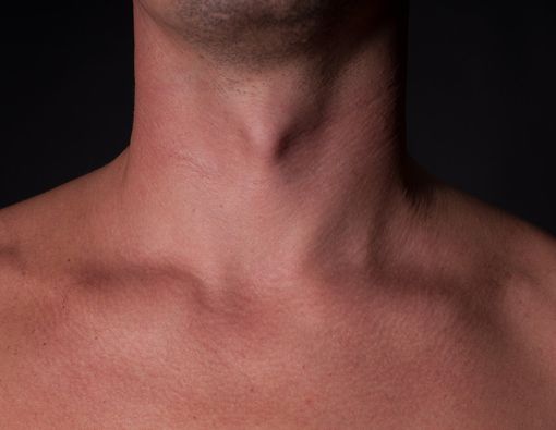 Fakta Jakun yang Perlu Anda tahu, Bukan Cuma 'Hiasan'!