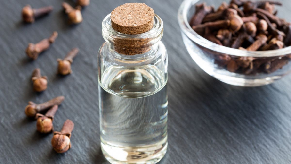 Atasi Mual dan Stres saat Hamil dengan Minyak Cengkih, Efektifkah?