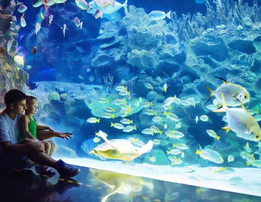 Daripada ke Mal, Ajak si Kecil ke Tempat Wisata Ini