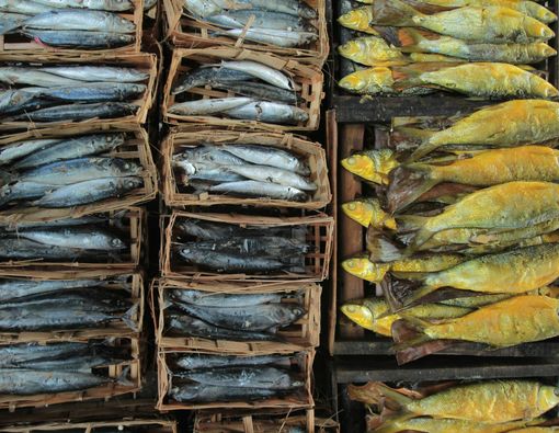 Hati-hati, Sering Makan Ikan Asin Picu Kanker Tenggorokan