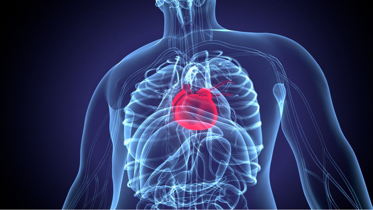 Berapa Lama Istirahat Setelah Operasi Jantung?