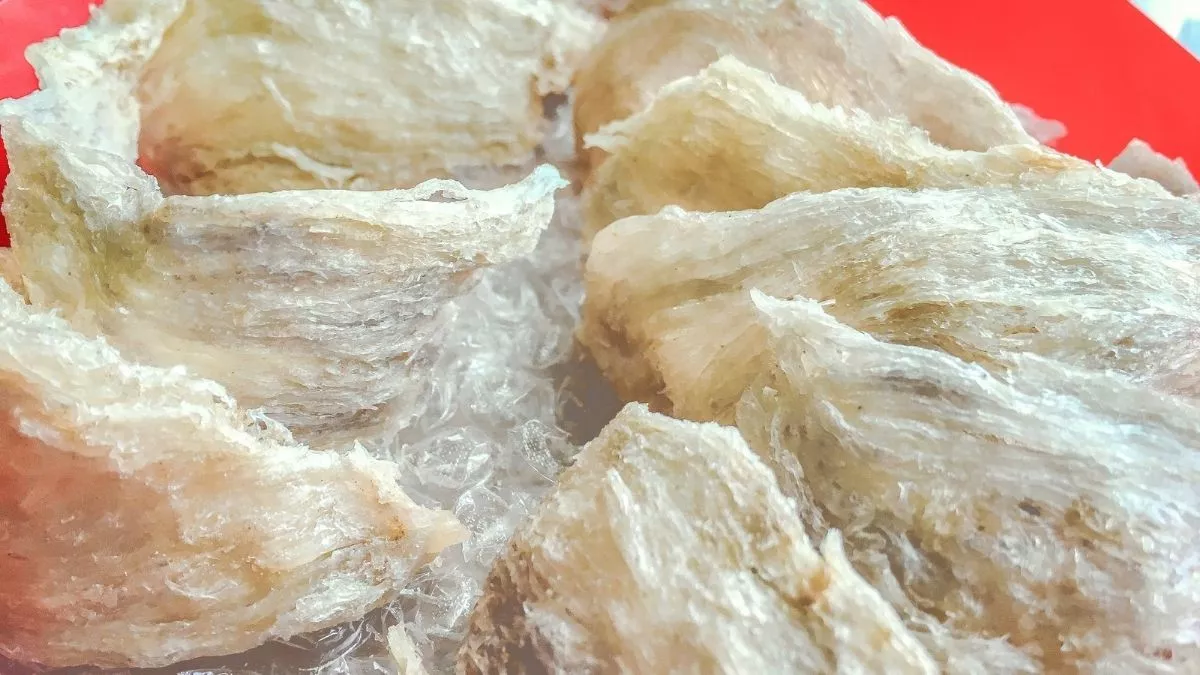 Ibu Hamil Makan Sarang Burung Walet, Bisa Bikin Bayi Pintar?