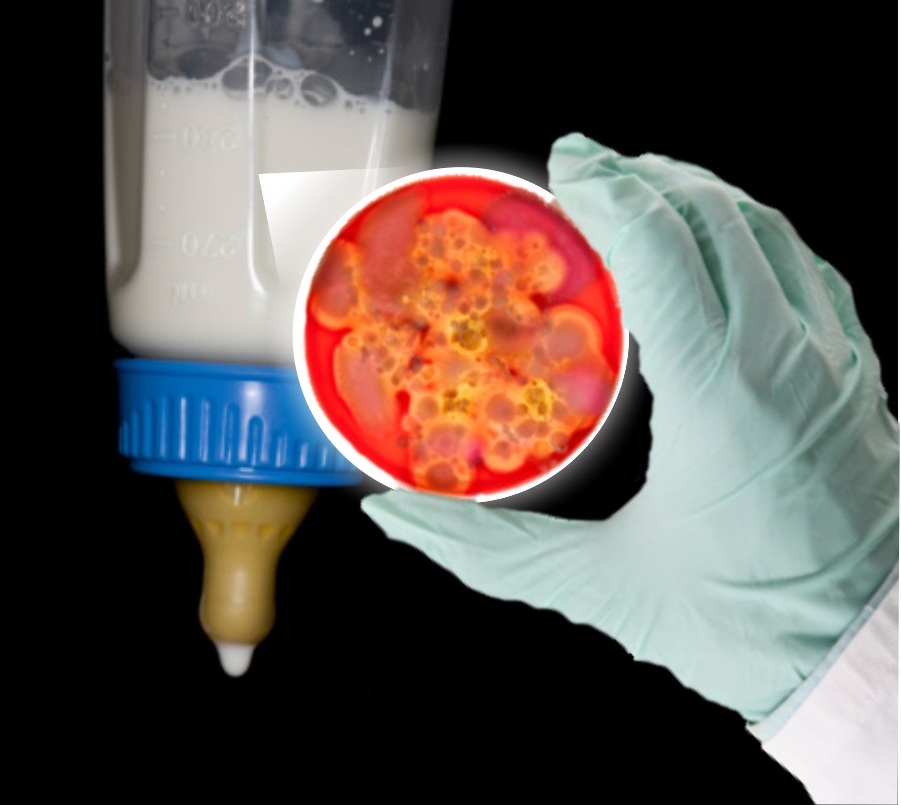 APMB Pastikan Produk Susunya Aman